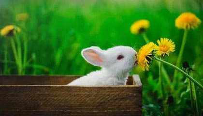 乐鱼体育-中国女篮强调团队协作 增强比赛掌控力，中国女篮很强