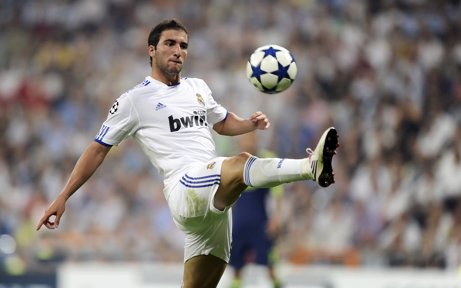 乐鱼体育app-弗朗索瓦·斯图尔特：反击的发起者，带领南非队突破敌方防线，弗朗索瓦德尔萨特