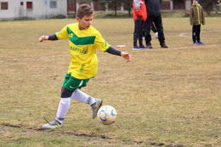 乐鱼体育在线入口-中国足球名宿回归俱乐部任职，中国足球名宿回归俱乐部任职名单